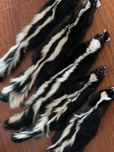 Load image into Gallery viewer, Tanned mountable skunk pelts